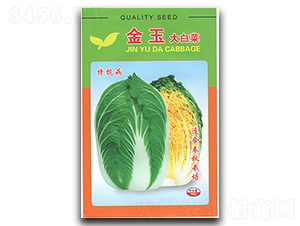 �����ײ�-�ײ˷N��-�������