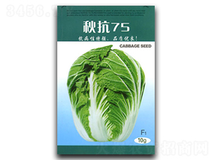 �￹75-�ײ˷N��-�������