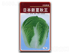 �ձ���������-�ײ˷N��-�������