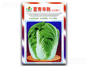 ��������-�ײ˷N��-�������