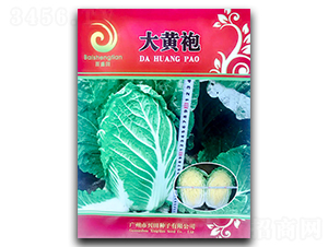 ���S��-�ײ˷N��-�������