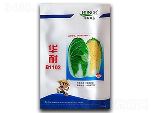 �A��B1102-�ײ˷N��-�������