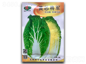 �Sо��܊-�ײ˷N��-�������