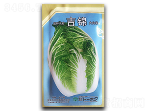 ���\-�ײ˷N��-�������