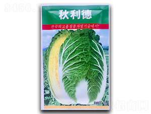 ������-�ײ˷N��-�������