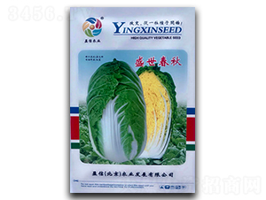 ʢ������-�ײ˷N��-�������