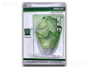 ����19-�ײ˷N��-�������