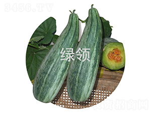 �����-��ϷN��-�G�I�N�I(y��)