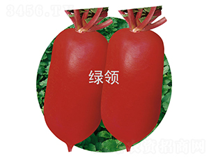 �ļt2̖(h��o)-�}���N��-�G�I(l��ng)�N�I(y��)