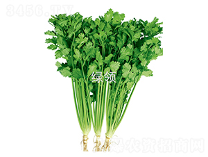 �F�U���-��˷N��-�G�I�N�I(y��)