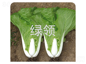 ���v1258-С�ײ˷N��-�G�I(l��ng)�N�I(y��)