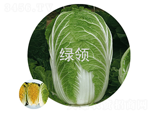 �149-�ײ˷N��-�G�I(l��ng)�N�I(y��)