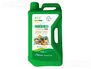 �����~���ם�sҺ-�S�����r(n��ng)