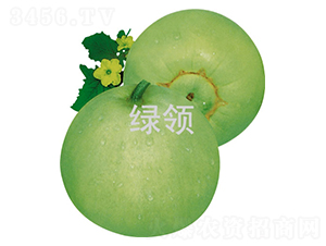 �G�I����-��ϷN��-�G�I�N�I(y��)