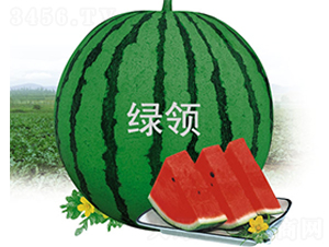 �G�I����188-���ϷN��-�G�I�N�I(y��)