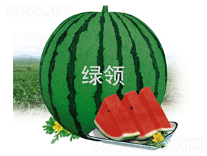 �G�I����-���ϷN��-�G�I�N�I(y��)