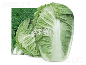 �G�I(l��ng)R2-�ײ˷N��-�G�I(l��ng)�N�I(y��)