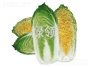 ��ؐ-�ײ˷N��-�G�I(l��ng)�N�I(y��)