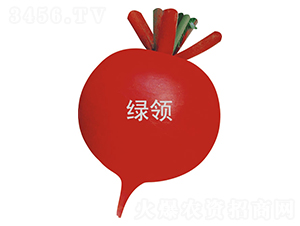 �t��40-�}���N��-�G�I(l��ng)�N�I(y��)