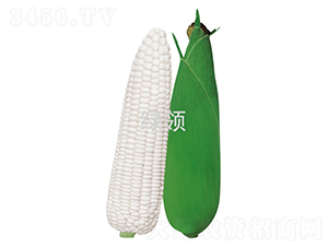 ��Ŵ1̖-���׷N��-�G�I�N�I(y��)