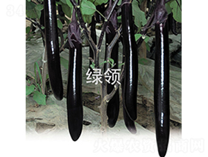 ؐ��˹-���ӷN��-�G�I(l��ng)�N�I(y��)