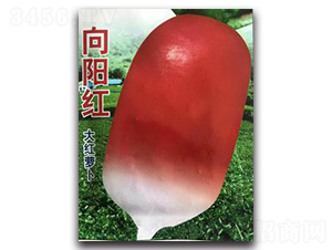 ���(y��ng)�t��t�}��-�}���N��-�����Z