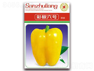 �ʽ���̖-�ʽ��N��-�����Z