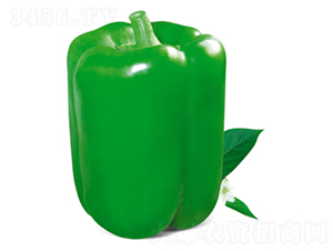 ¹��ʮ��̖-�����N��-�����Z