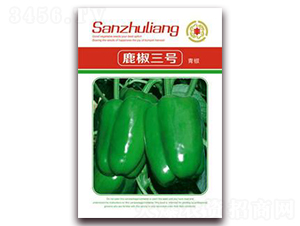 ¹����̖�ཷ-�����N��-�����Z