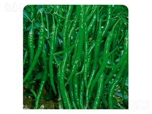 �ھ�����-�����N��-�����Z