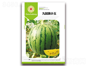 �ň@�SС��-���ϷN��-�����Z