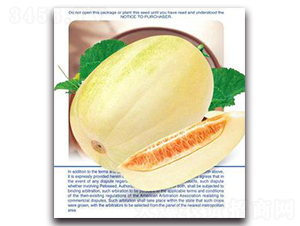 ������̖-��ϷN��-�����Z