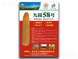 �ň@58̖(h��o)-���׷N��-�����Z