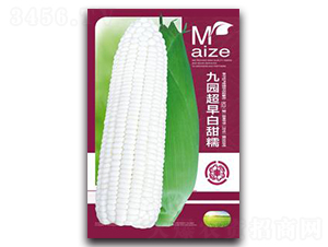 �ň@�������Ŵ-Ŵ���׷N��-�����Z