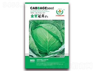 ��ʹ�Ӣ-���{(l��n)�N��-���ٷN��