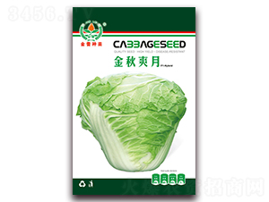 ����ˬ��-�ײ˷N��-���ٷN��