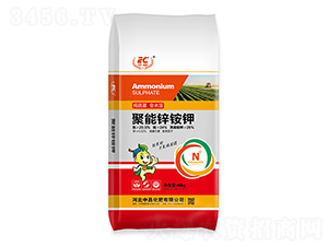 �����\�@�-�в�