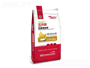 ����溬����ጷ�25-10-11+TE-����֮��-���ʼ��F