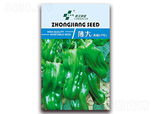 �����K��17̖(h��o)-�����N��-�н��r(n��ng)�I(y��)