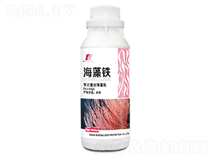 �����F-�J�S����