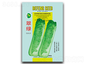 ��G-�ײ˷N��-���S�N�I(y��)