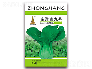 �|�����̖-��˷N��-�н��r�I(y��)