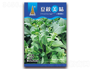 ������ζ-���̦�N��-�н��r�I(y��)