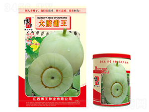 ��Ě����-��ϷN��-����