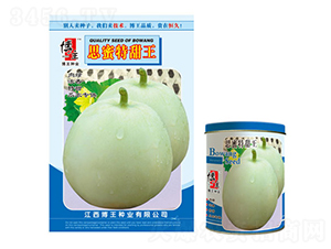 ˼��������-��ϷN��-����