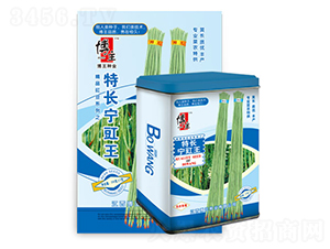 ���L(zh��ng)������-�����N��-����