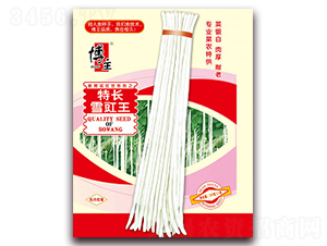 ���L(zh��ng)ѩ����-�����N��-����