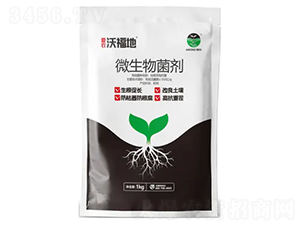 ΢�������-���r(n��ng)�ָ���-���r(n��ng)ֲ��