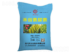 �̹�������-�o�컯