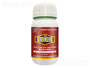 ���w�F-�֠���(y��u)